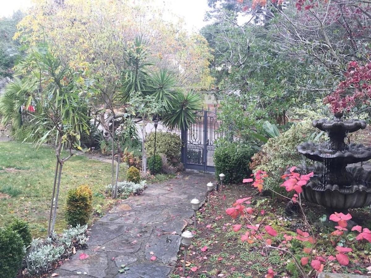 Serene Charming Private Suite Patio, Upscale Berkeley Bagian luar foto
